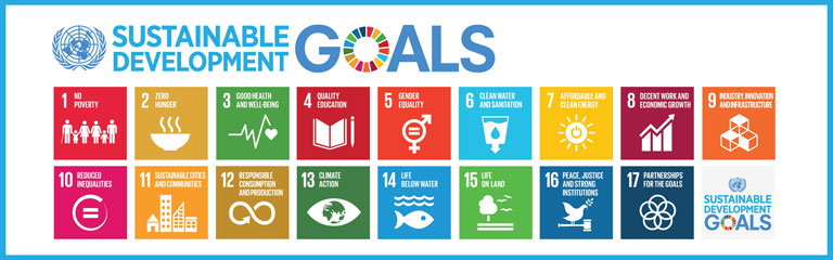 united nations sustainable development goals